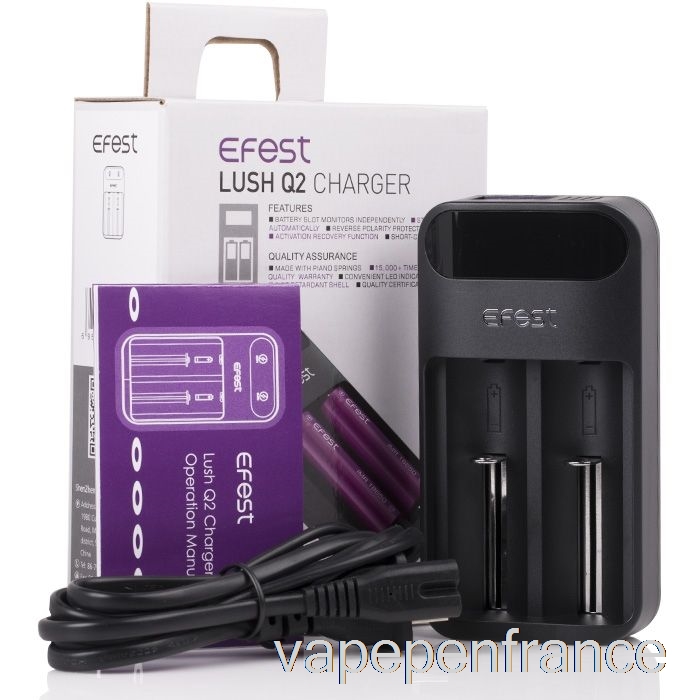 Efest Luxuriant Q2 2 Baies Chargeur De Batterie LED Intelligent Stylo Vape